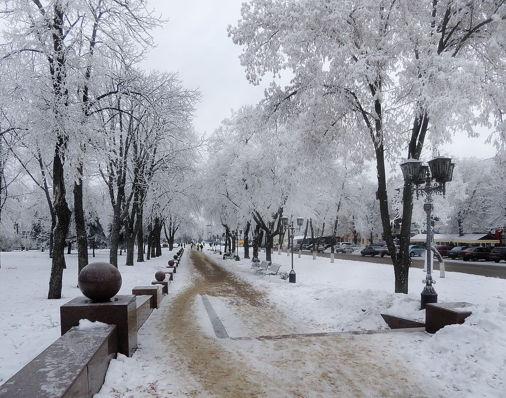 Фотография автора Роман Савоцкий