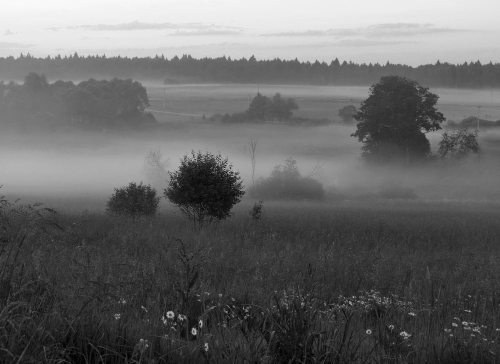 Photograph by Андрей Осмоловский