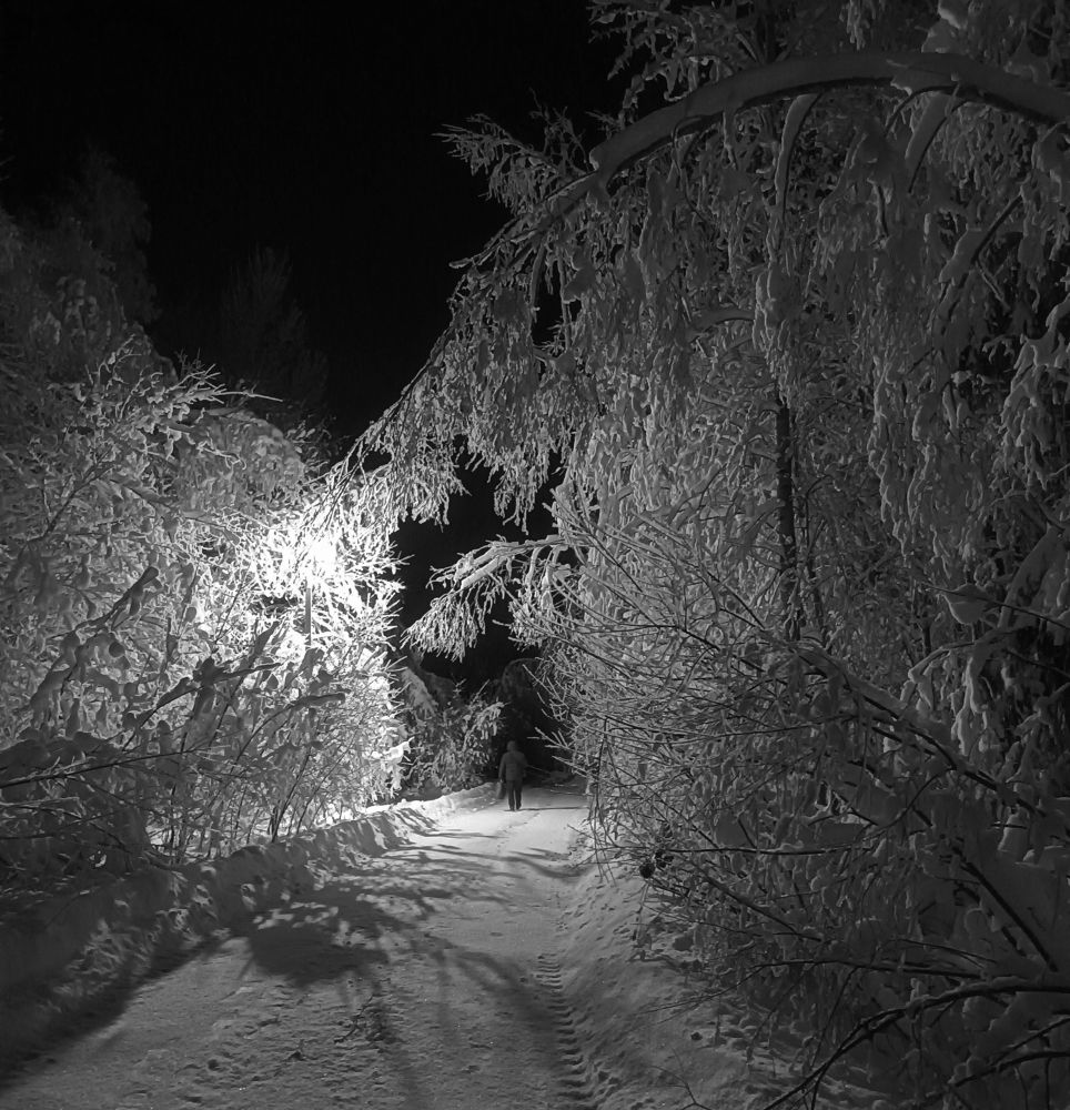 Photograph by Алла Бойко