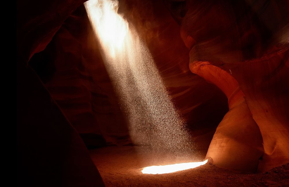 Nature’s Spotlight