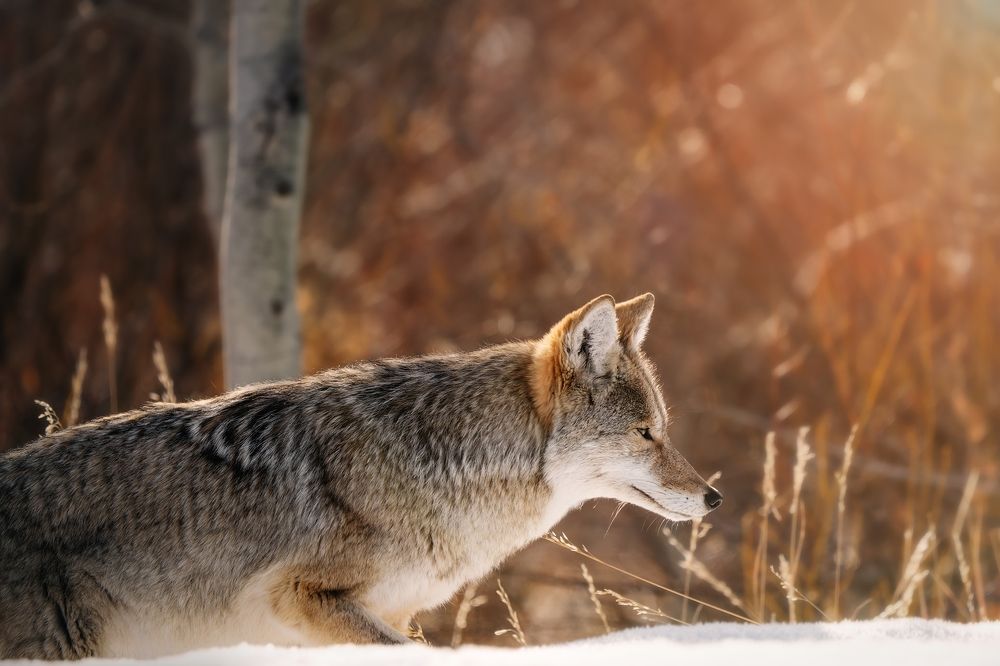 Photograph by Victoria Harris