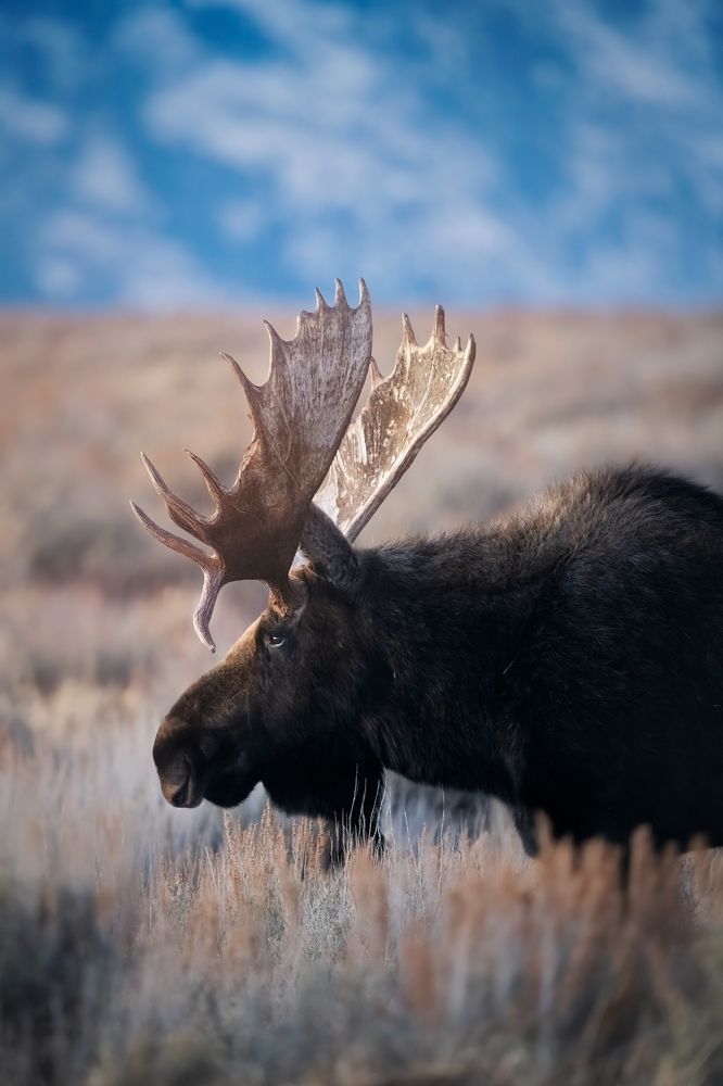 Photograph by Victoria Harris