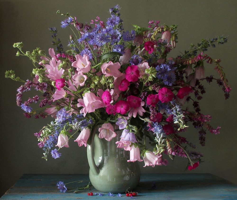 Летние красуются цветы