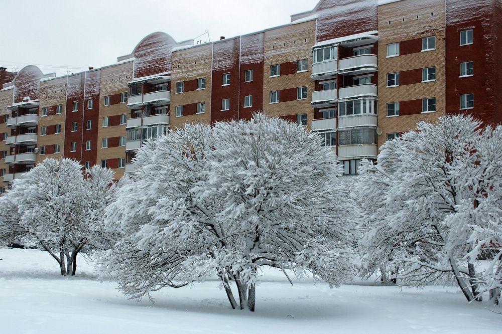 Photograph by Olga Bagaeva