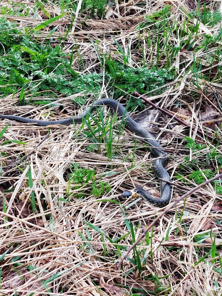 Photograph by Ксения Цветкова