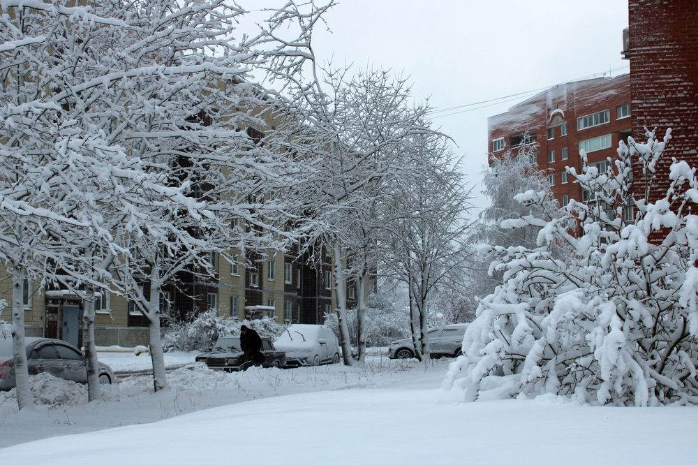 Photograph by Olga Bagaeva