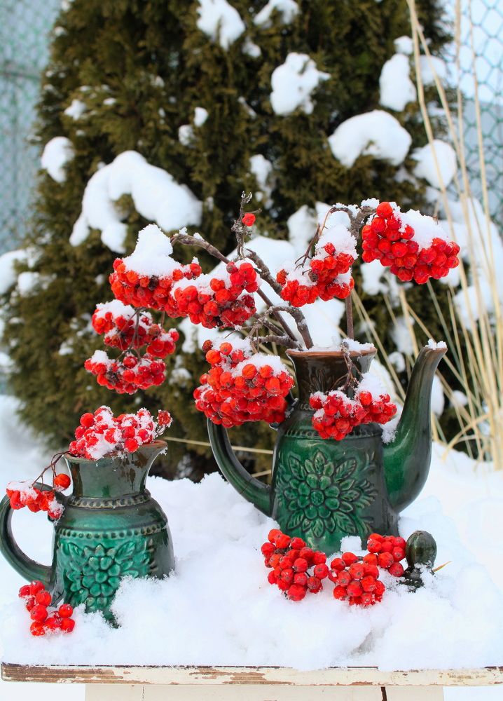 Фотография автора Михайлова Марина