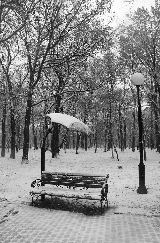 Фотография автора Елена Хализова