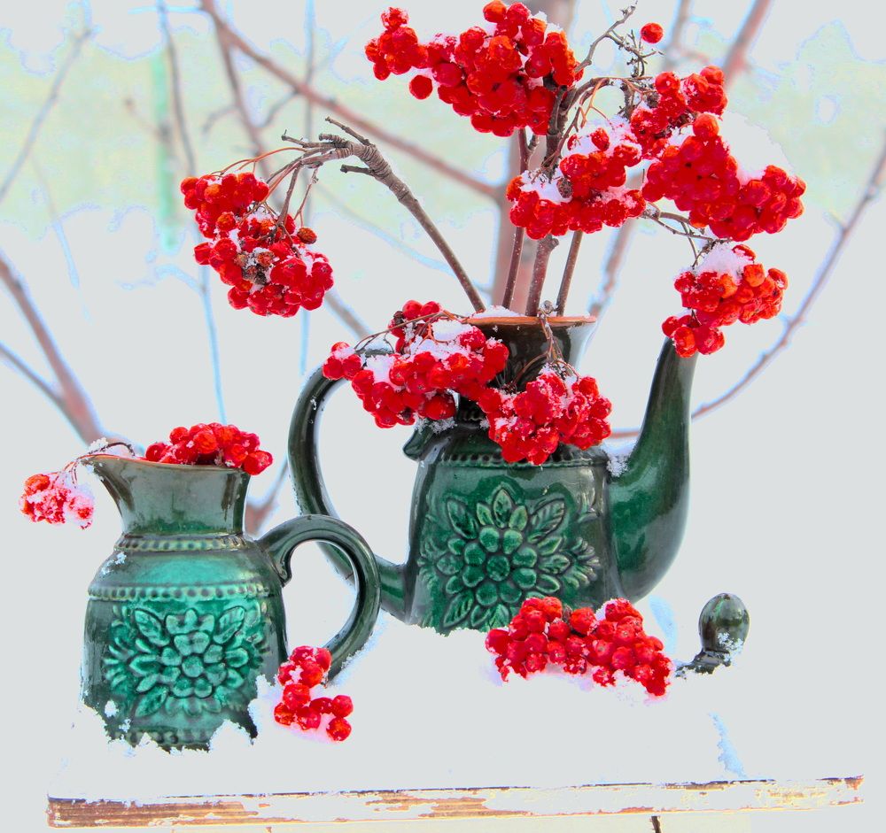 Фотография автора Михайлова Марина