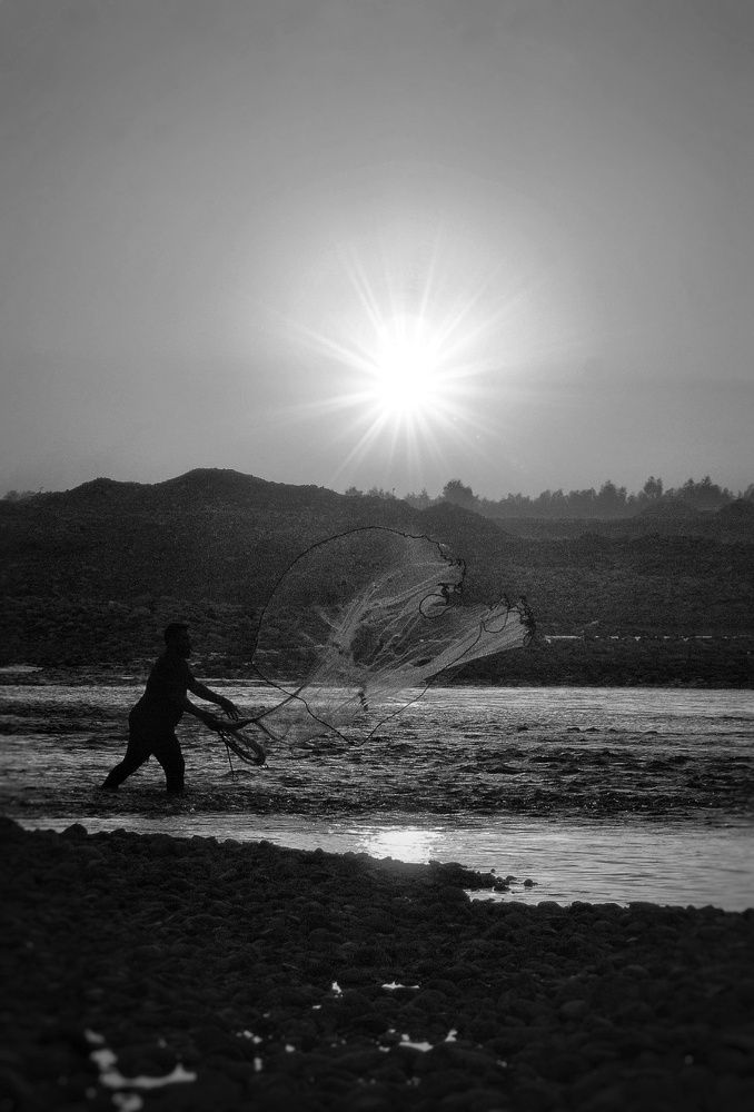 Photograph by Amin Golestanipour