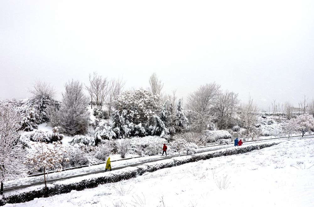 Photograph by محمودرضا نورایی