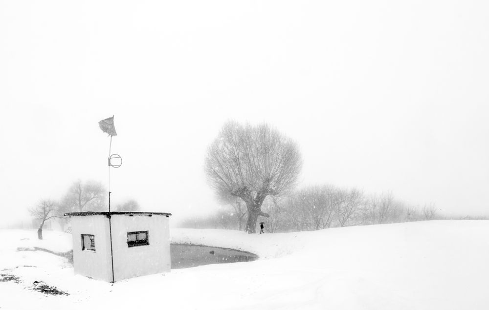 Photograph by محمودرضا نورایی