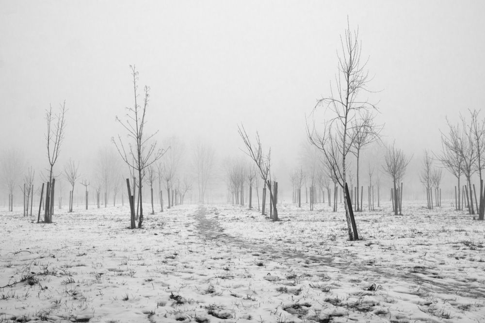 Фотография автора Алена