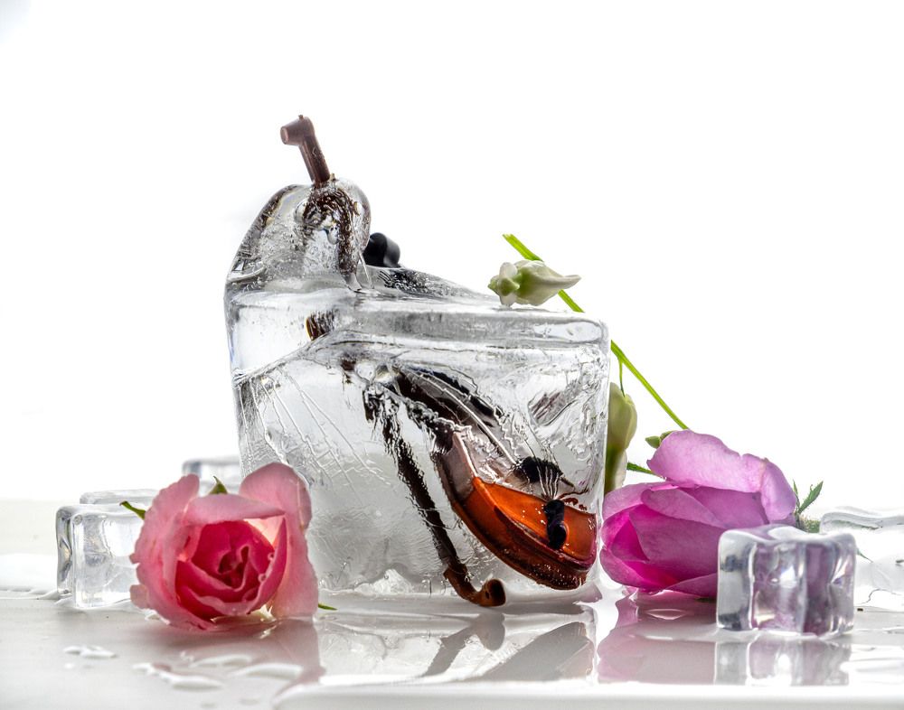 Photograph by Margarita