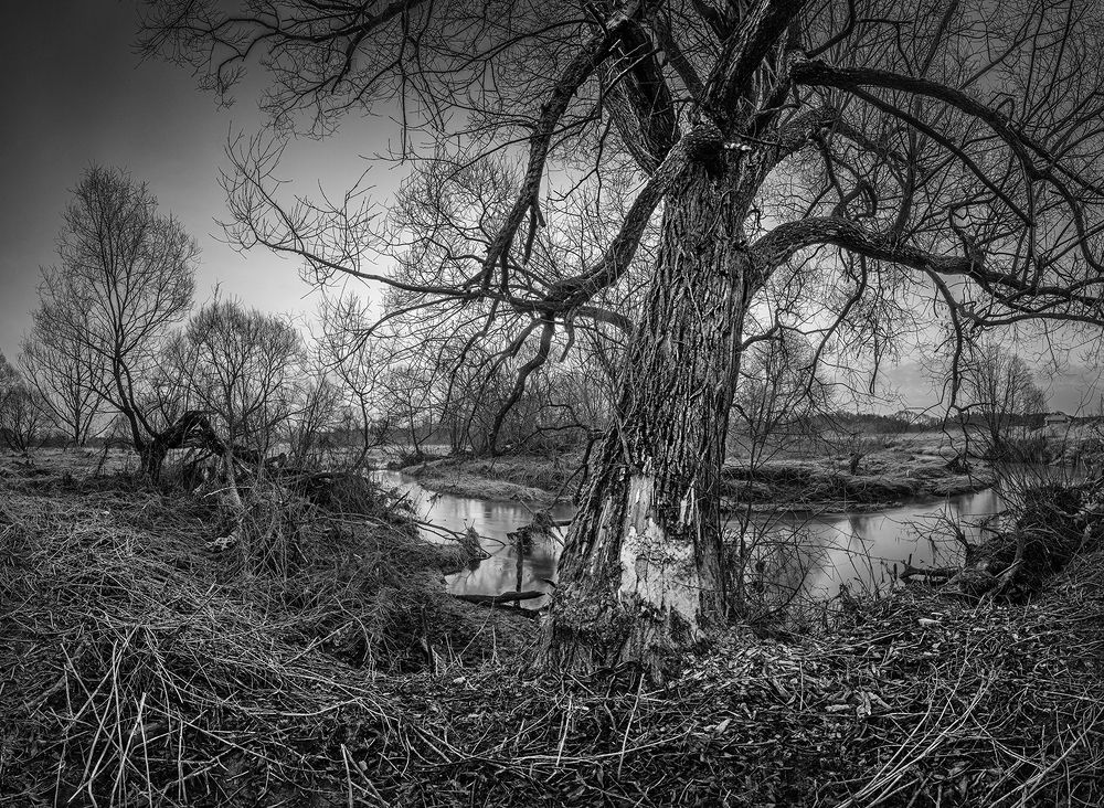 Photograph by Андреев Николай