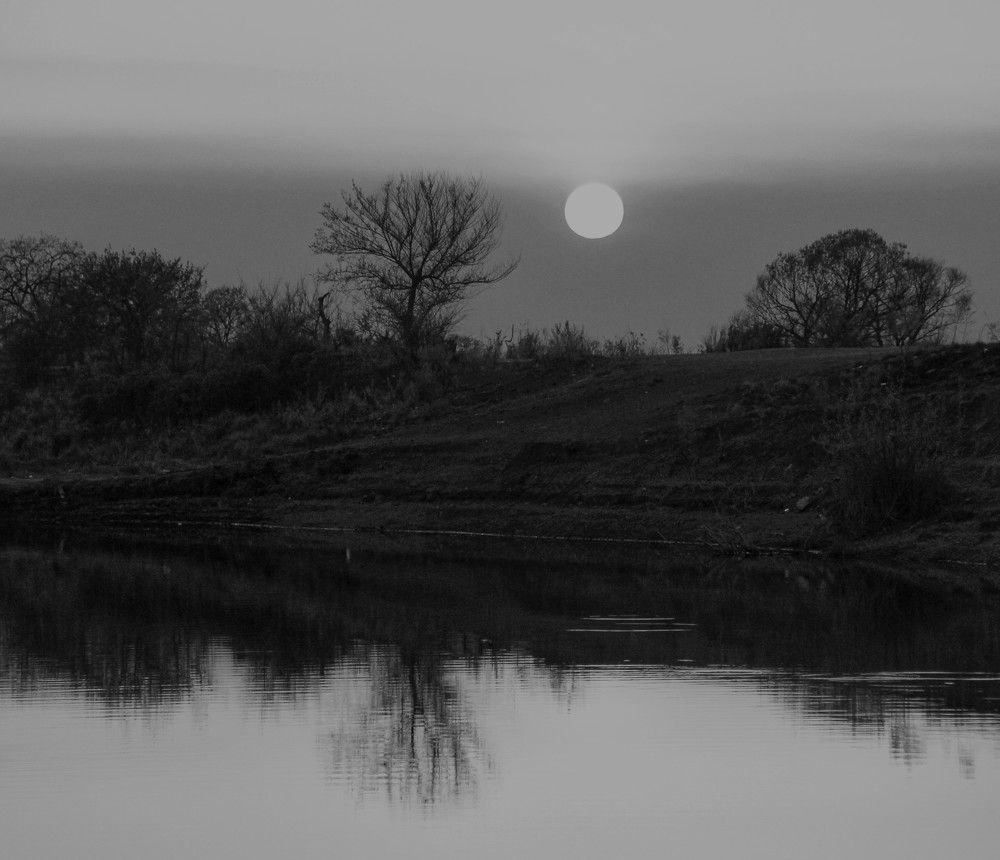 Фотография автора Наталия Мащенко