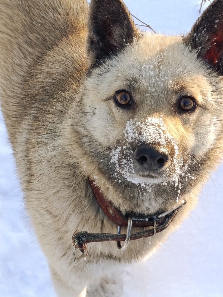 Photograph by Юлия Смирнова