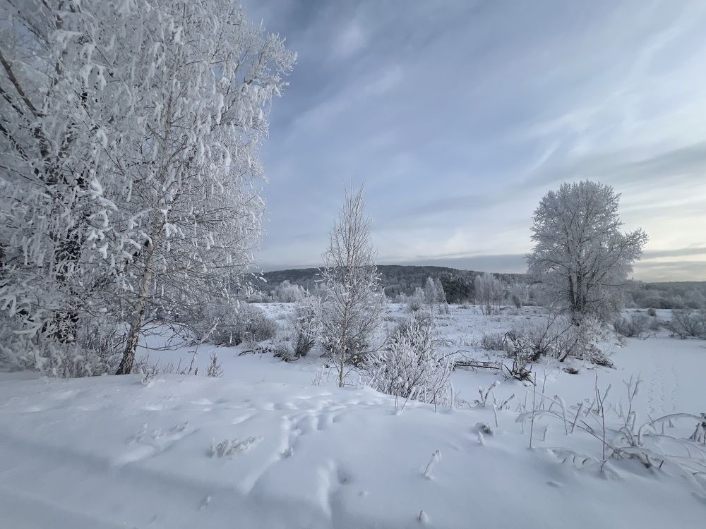 Photograph by Евгений Авдеев