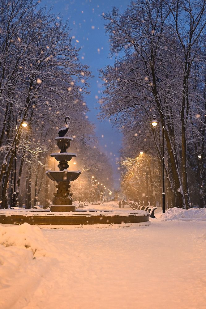 Photograph by Надежда Гусева