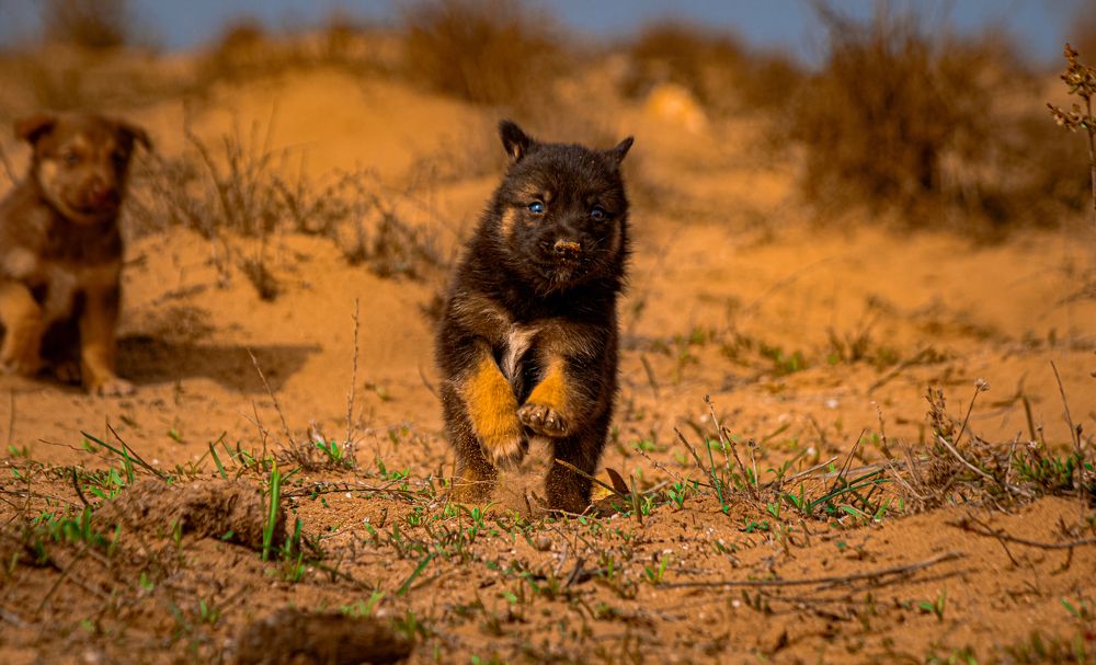 Photograph by El HASSAN BRAHKI