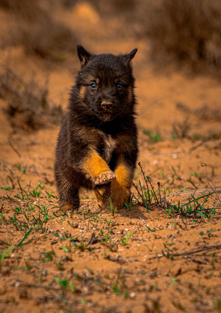 Photograph by El HASSAN BRAHKI
