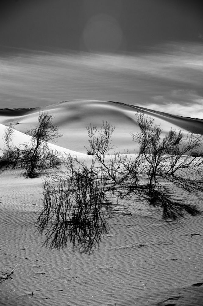 Photograph by Amir Negaresh