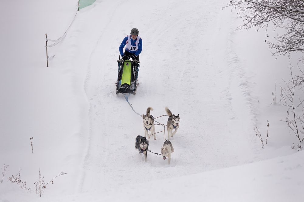 Photograph by Adrian Grigore