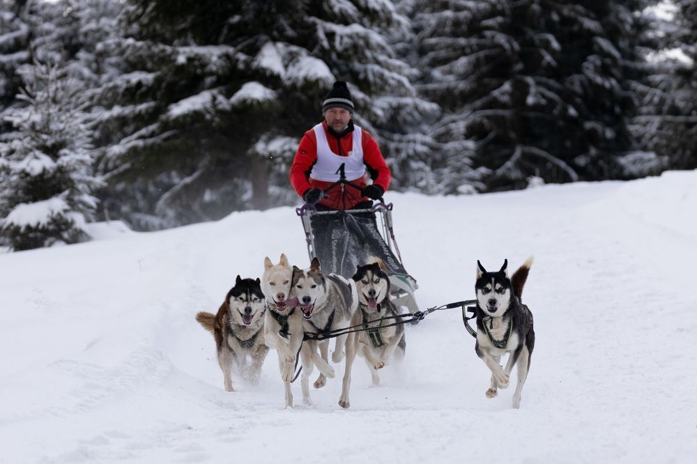 Photograph by Adrian Grigore