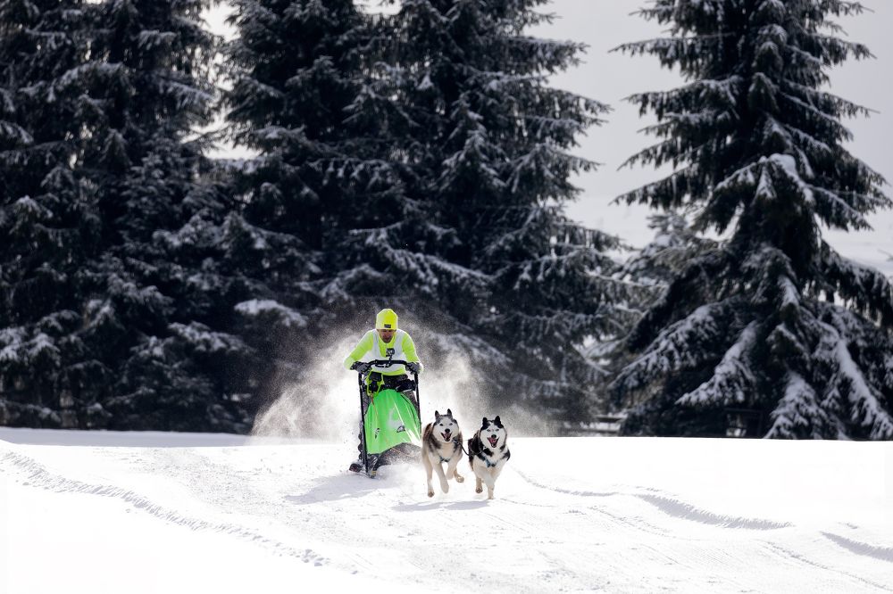 Photograph by Adrian Grigore