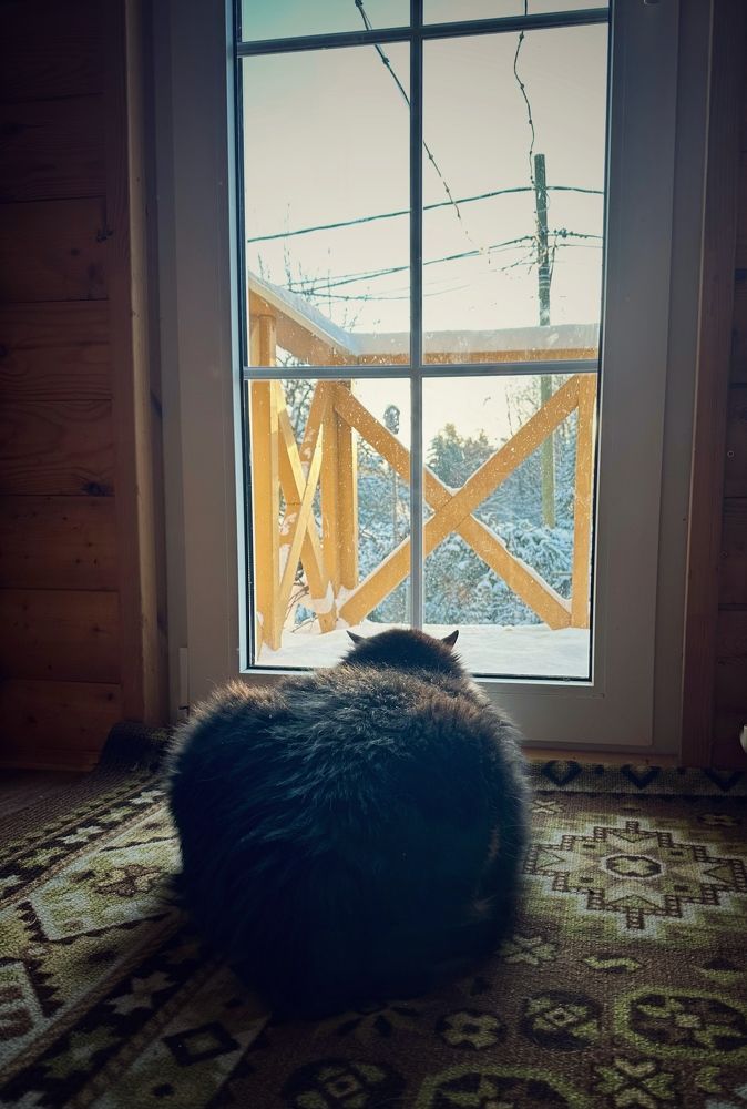 Фотография автора Alina Efimova