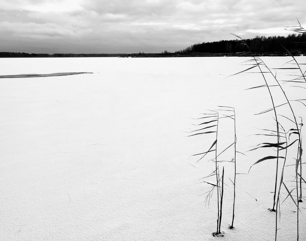 Фотография автора Татьяна Могилевец