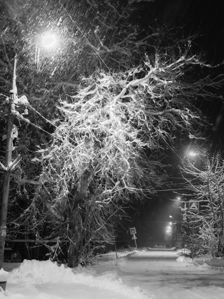 Photograph by Ершов Сергей