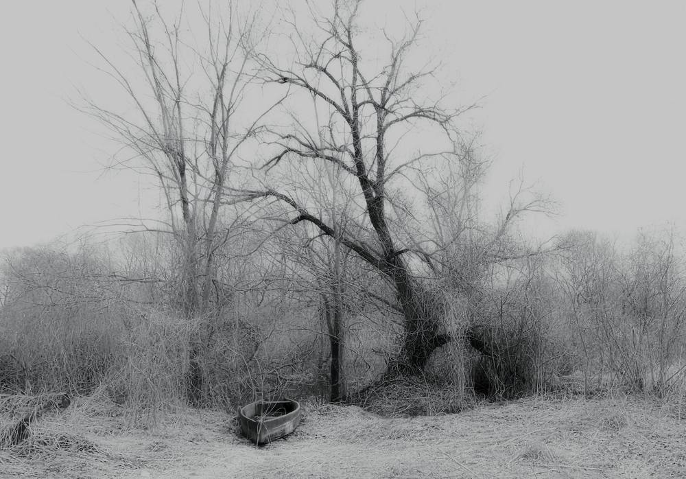 Фотография автора Татьяна Могилевец