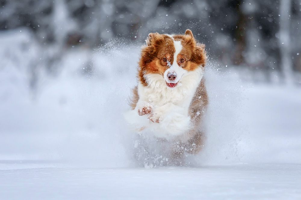 Photograph by Ольга Кузина