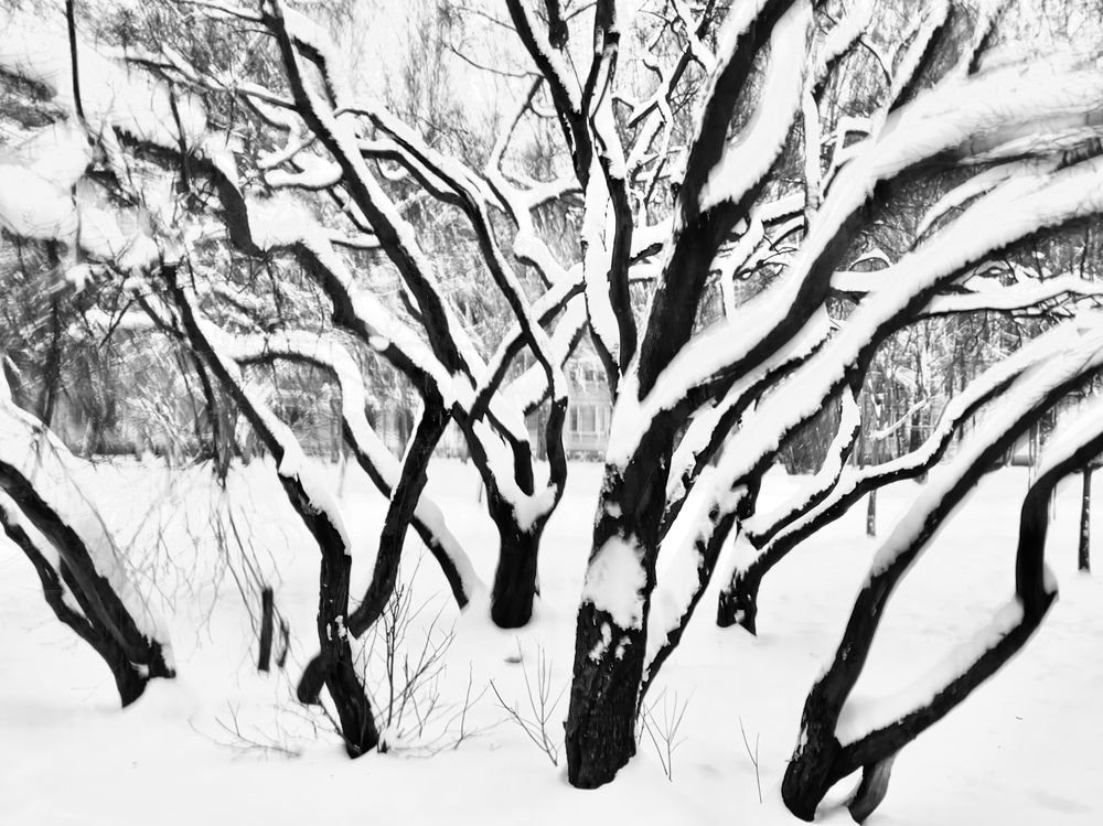 Photograph by Дарья