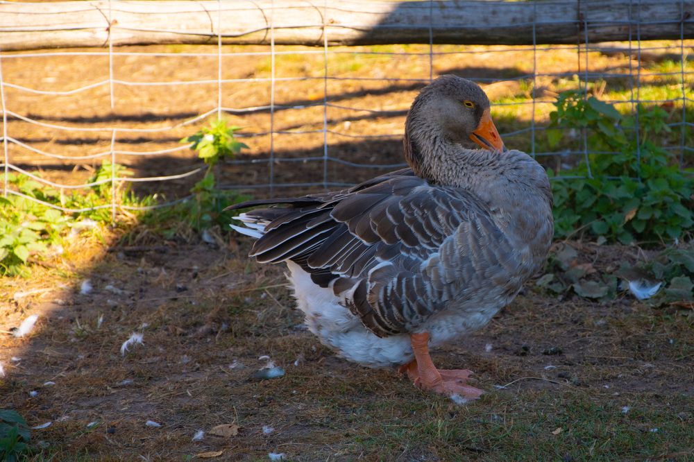 Photograph by Ксения Малютина