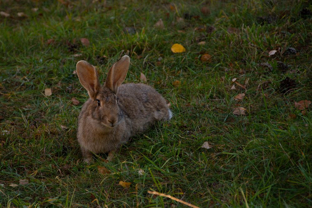Photograph by Ксения Малютина