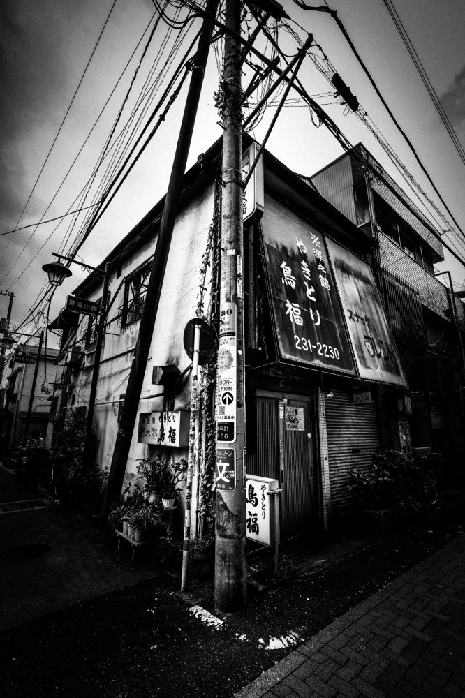 Photograph by mak takano