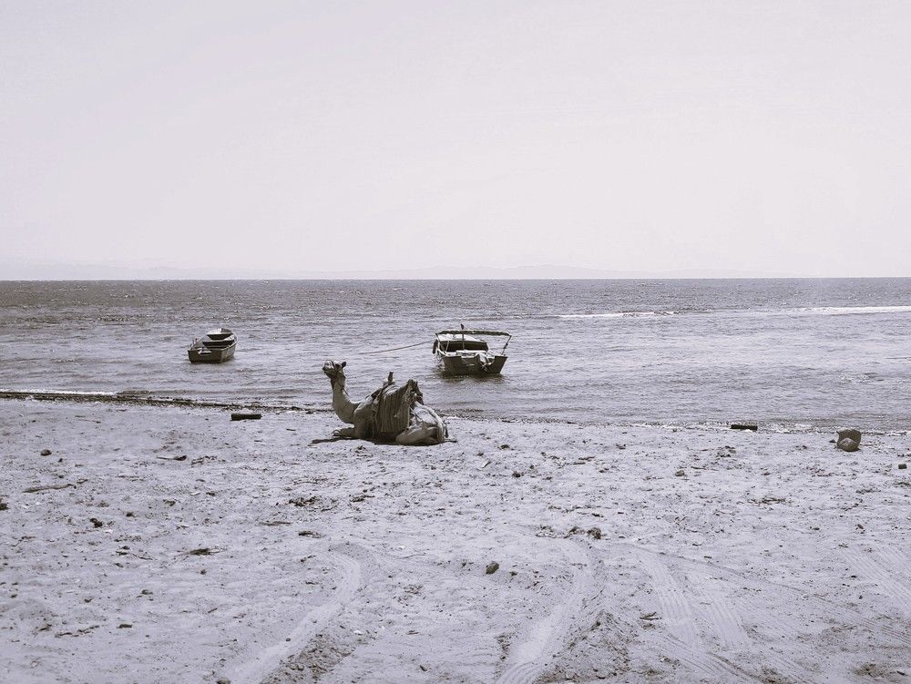 Photograph by Елена Ямнюк