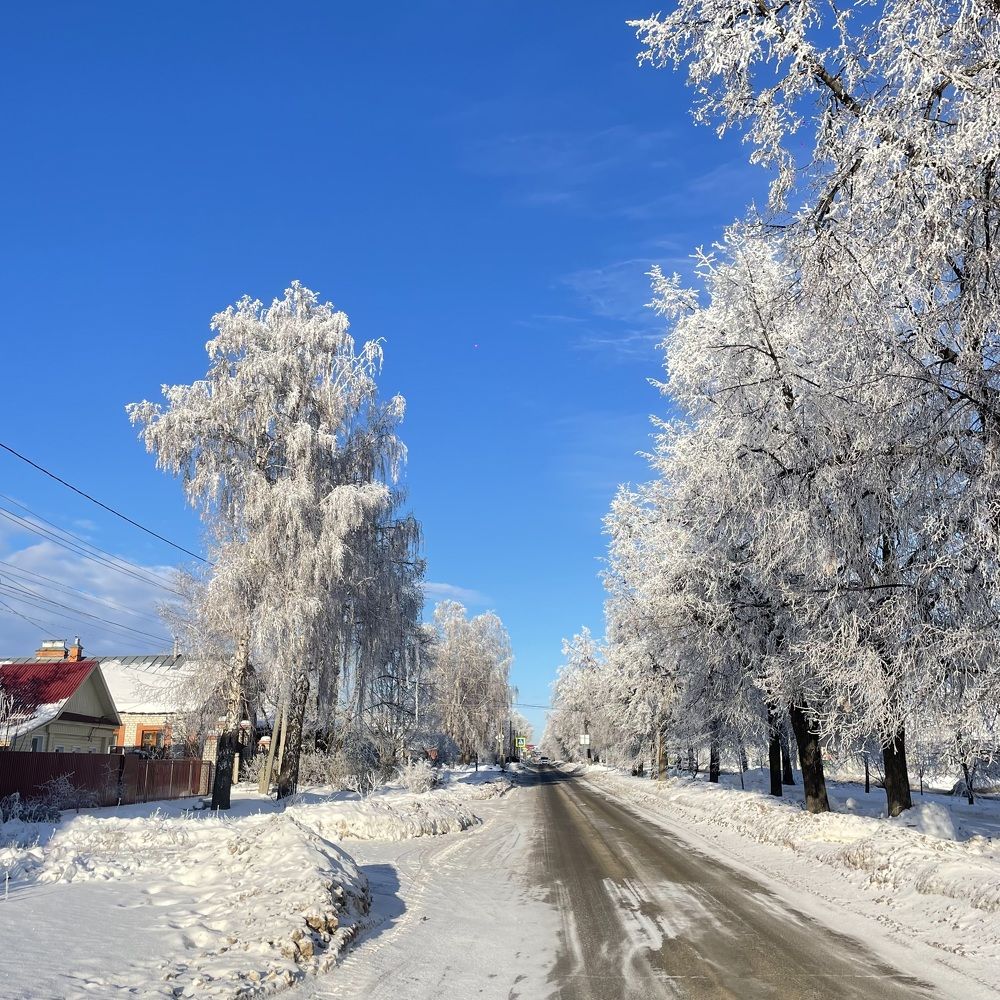 Photograph by Nadya Sterligova