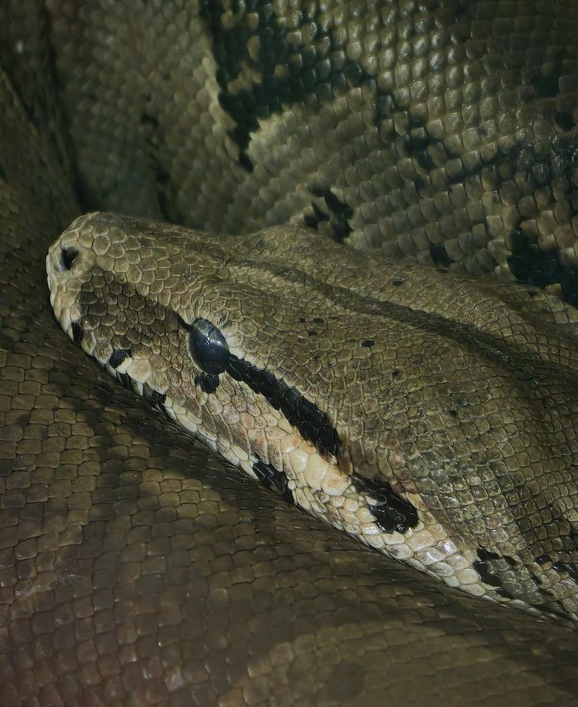 Photograph by Кристина Рыбина