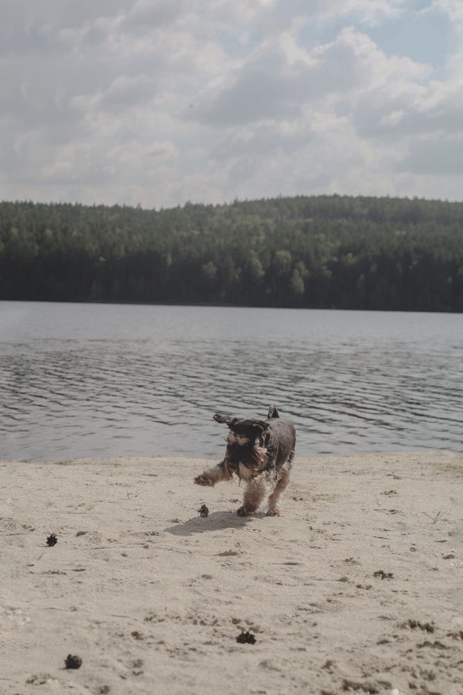 Photograph by Olivka Ulyanova