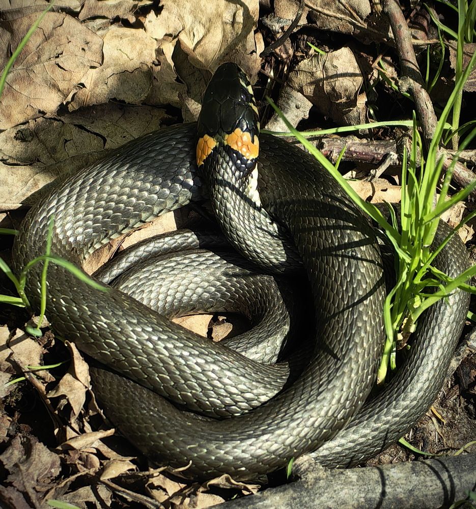 Photograph by Кристина Рыбина