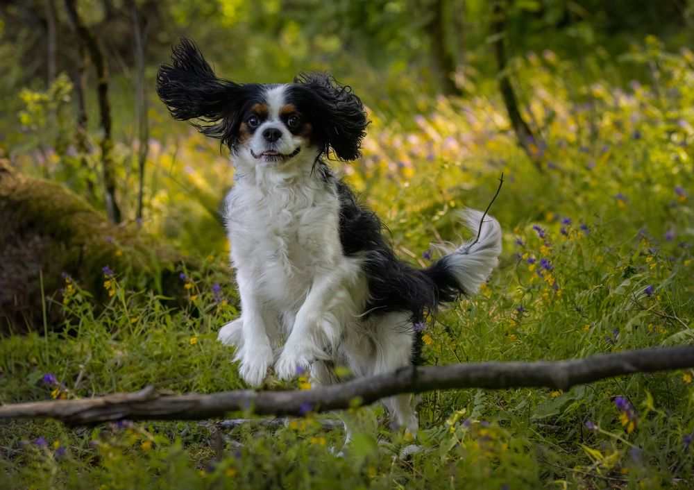 Photograph by Галина Павлова