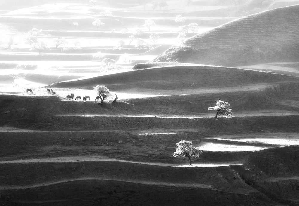 Photograph by Андрей Родионов