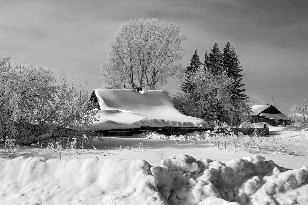 Photograph by виктор ковчин