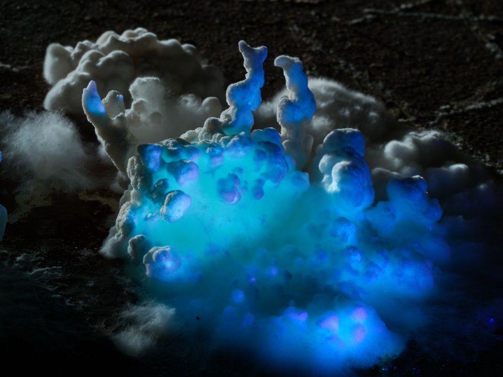 Photograph by Алексей Поляков