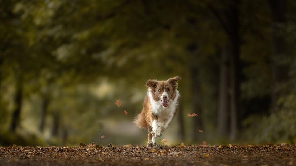 Photograph by Linda Celis