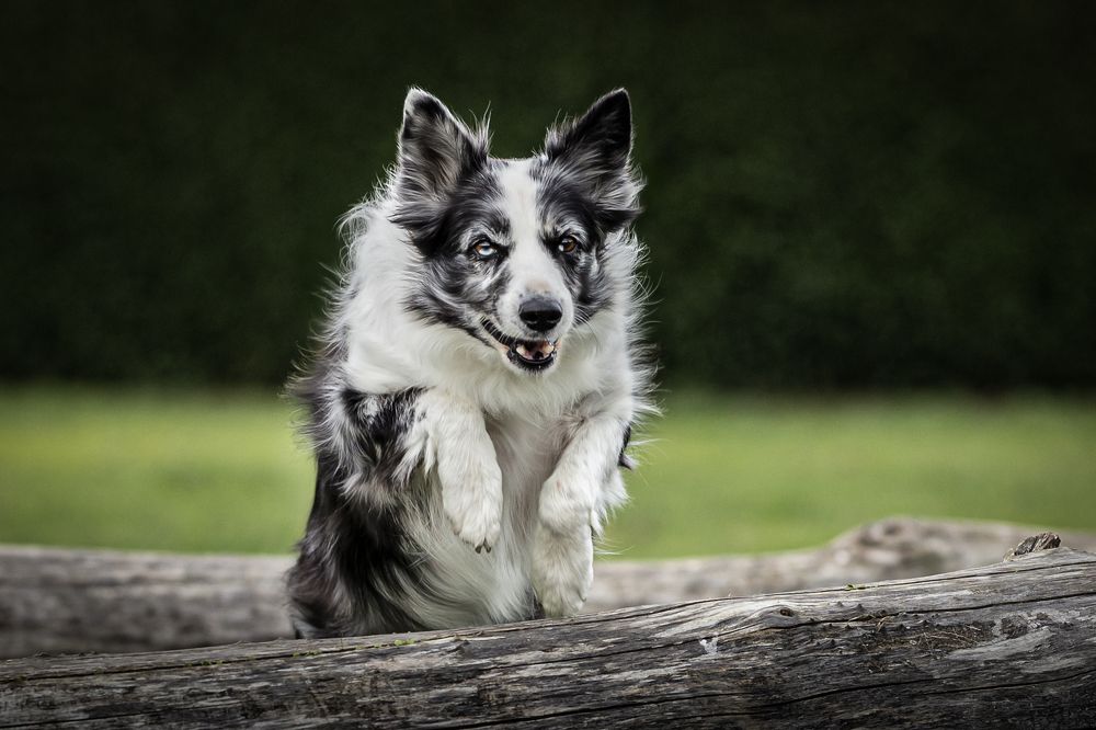 Photograph by Linda Celis