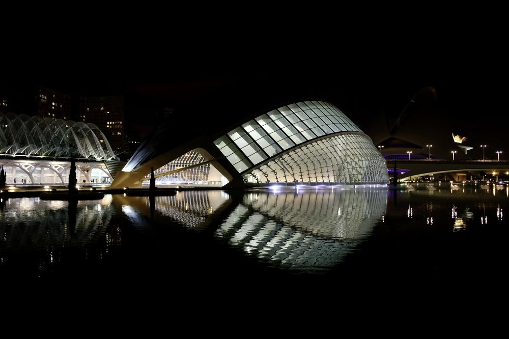 Lines of L'Hemisfèric